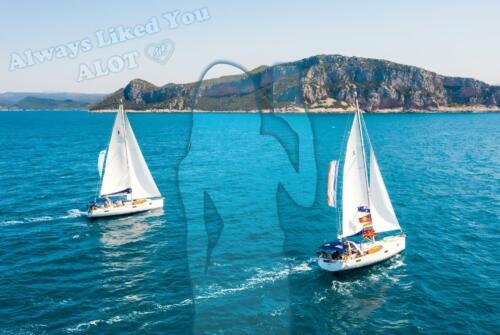 447883527 8119669944710165 8224475336985180451 n