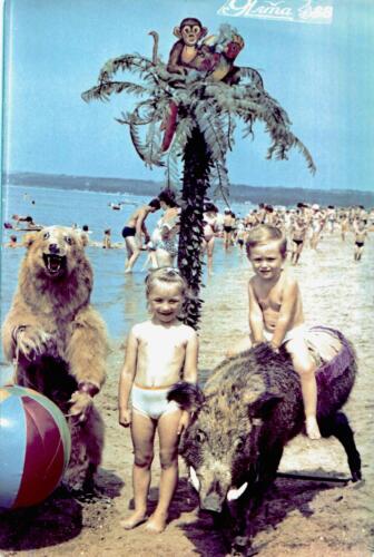 IMG 20211019 0025 modificata