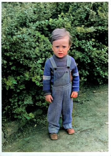 IMG 20211019 0026 modificata