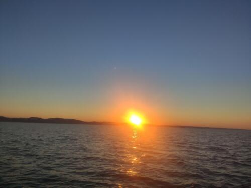 IMG 20220801 201308 CMP