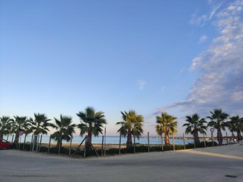 IMG 20220803 192432 CMP