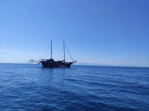 IMG 20220805 095909 CMP