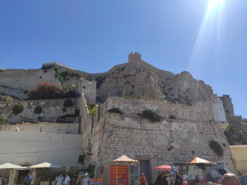 IMG 20220805 105306 CMP