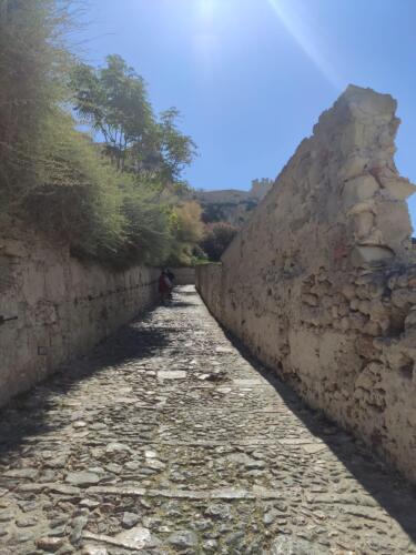 IMG 20220805 105709 CMP