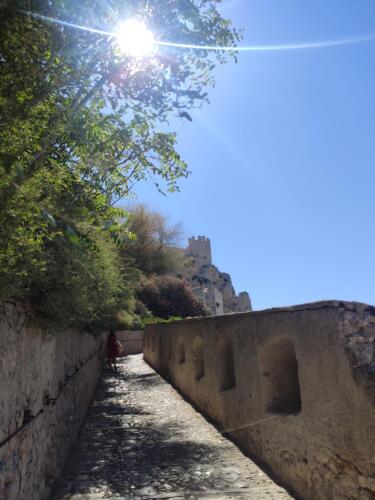 IMG 20220805 105726 CMP