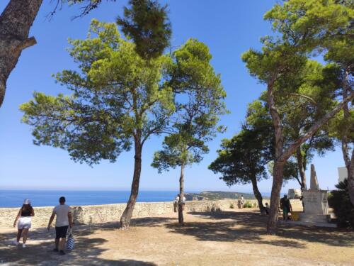 IMG 20220805 114206 CMP