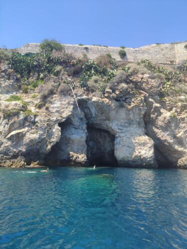 IMG 20220805 133703 CMP