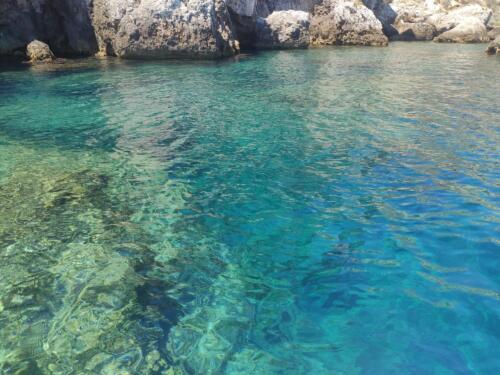 IMG 20220805 133931 CMP