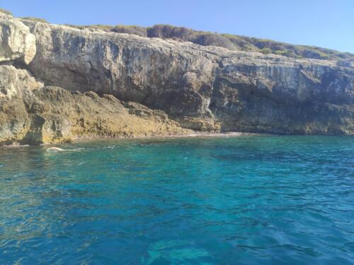 IMG 20220805 171156 CMP