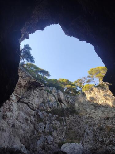 IMG 20220805 173949 CMP