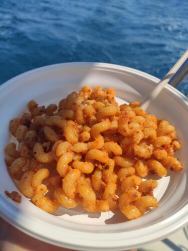 IMG 20220806 143812 CMP